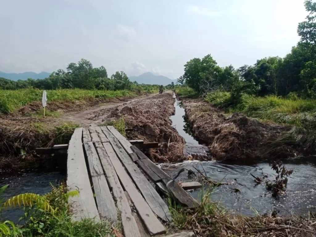 Pembukaan lokasi lahan Bandara Sukadana di Kayong Utara sudah dikerjakan, tidak jauh dari lokasi milik warga yang masih bermasalah. (Ist)