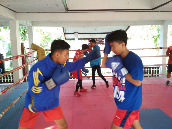 Pengurus Provinsi Persatuan Tinju Amatir Nasional (Pengprov Pertina) Kalsel sukses meloloskan tujuh petinju Kalsel ke Pekan Olahraga Nasional (PON) XX 2020 Papua. Mereka tampil gemilang di Babak Pra Kualifikasi PON (Pra PON) 2019 lalu.
