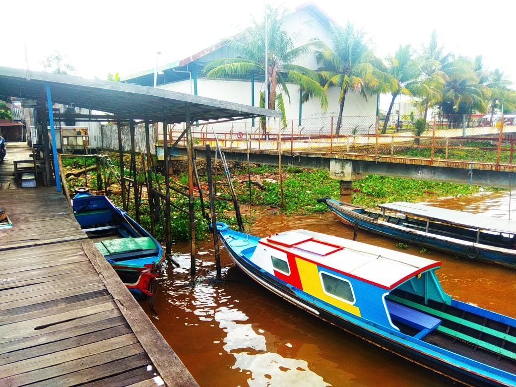 TERHAMBAT: Eceng gondok sempat menyerbu Sungai Kuin.