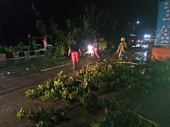 TUMBANG: Pohon yang tumbang di Jalan A Yani Km 39,5 saat menutup badan jalan lajur Banjarbaru - Hulu Sungai dan sebagian jalur sebelahnya: Hulu Sungai-Banjarbaru, Sabtu (11/1) dini hari. | FOTO: MUHAMMAD RIFANI/RADAR BANJARMASIN