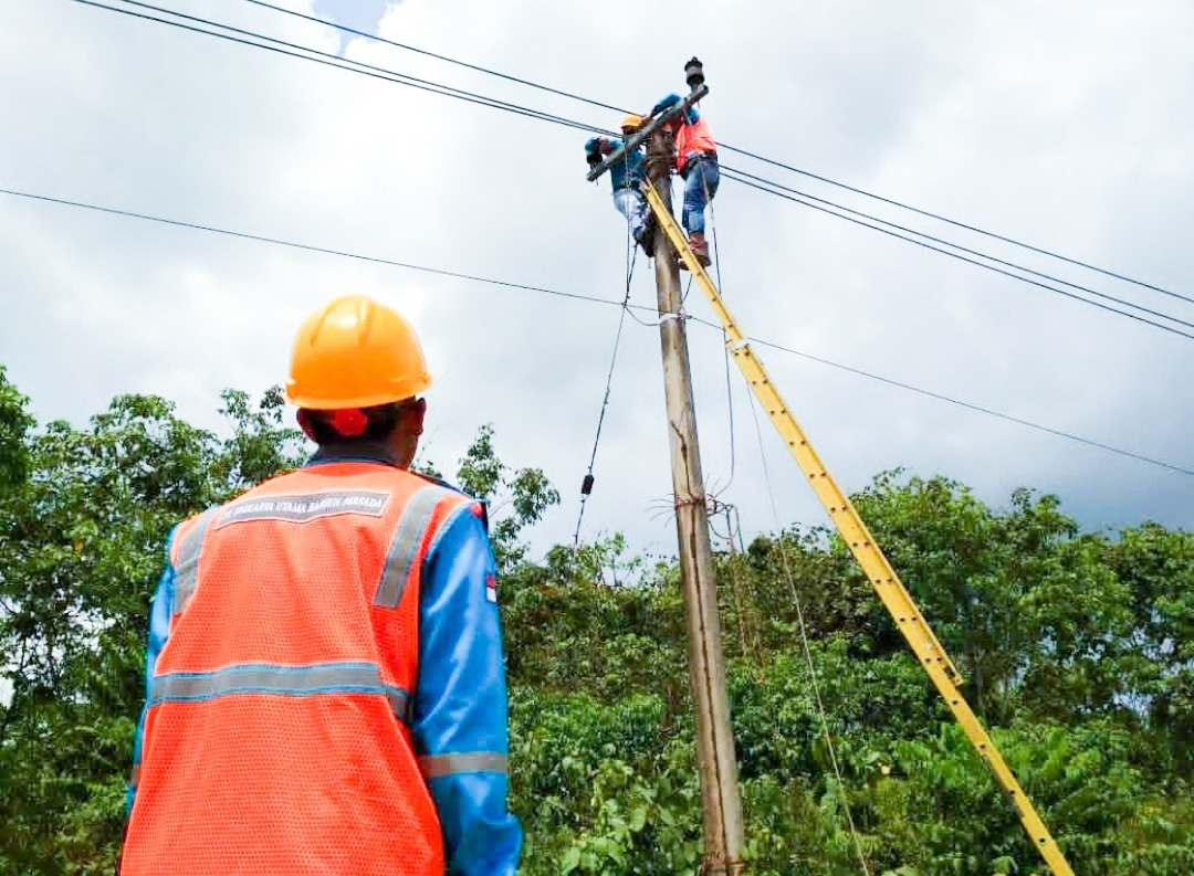 Petugas PLN saat melakukan inspeksi jaringan distribusi listrik