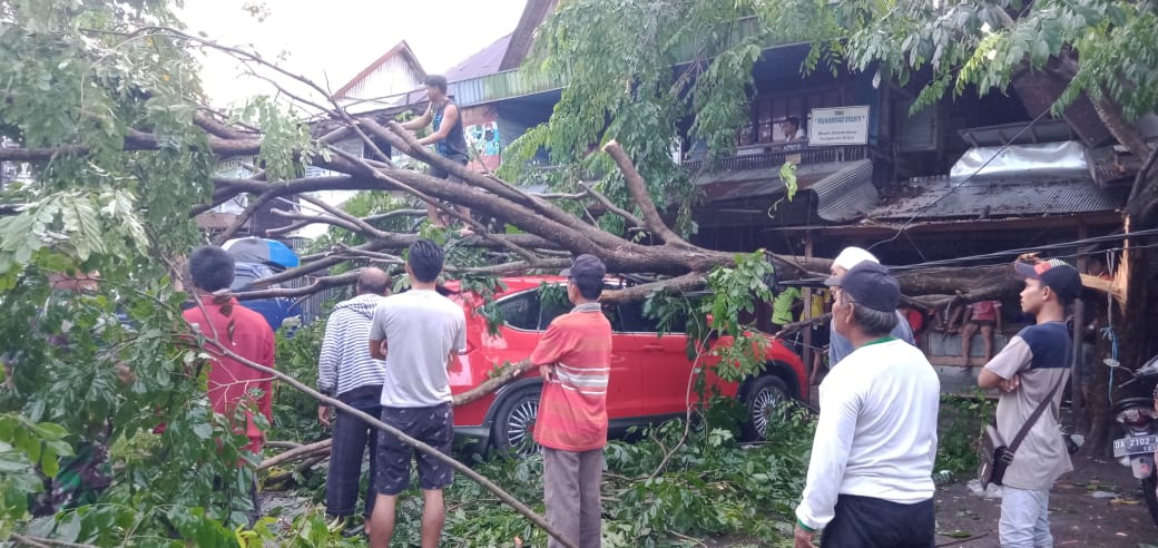 EVAKUASI: Mobil Honda CRV warna merah yang parkir di Jalan Abdul Aziz Amuntai tertimpa pohon tumbang. | Foto: Istimewa untuk Radar Banjarmasin