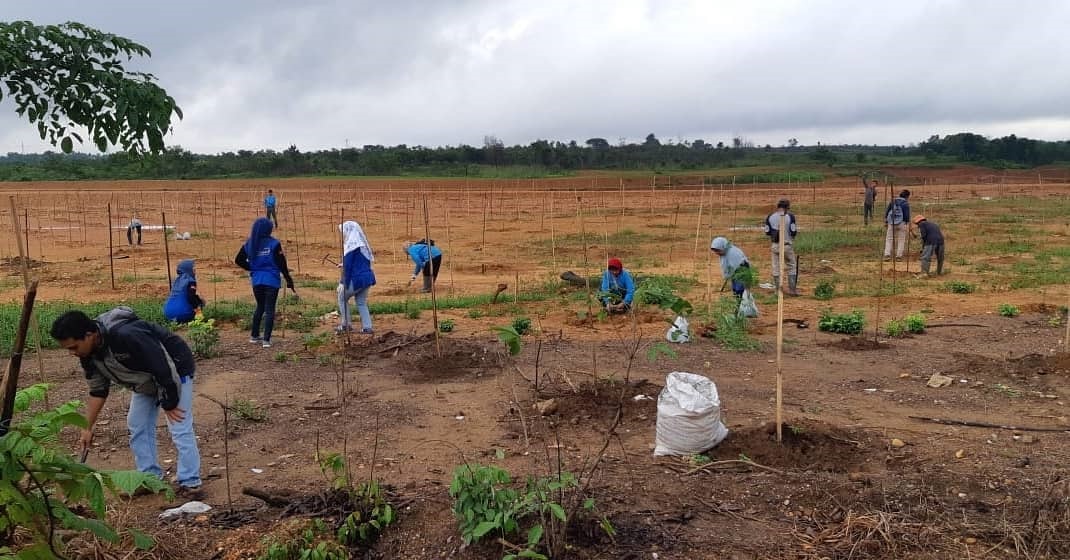PEMELIHARAAN: Puluhan staf UPTD Balai Perbenihan Tanaman Hutan (BPTH) yang merupakan kru Forest Office bersama para tenaga lapangan persemaian permanen saat melakukan pemeliharaan tanaman di sekitar Embung Balai Budaya, Banjarbaru, Jumat (6/3). | FOTO: DI