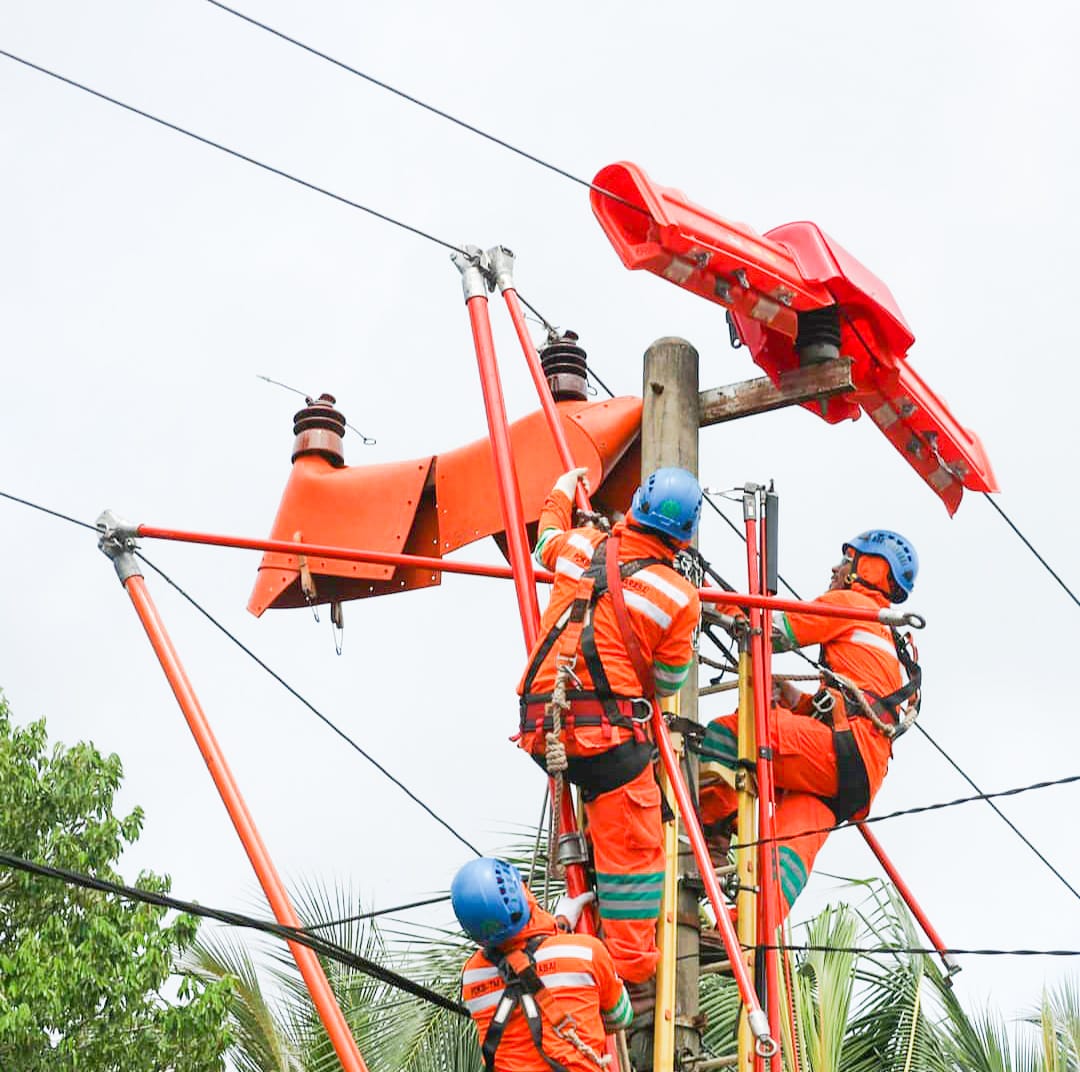 PEMELIHARAAN: Petugas PLN saat melakukan upaya pemeliharaan jaringan dan material kelistrikan. | FOTO: PLN FOR RADAR BANJARMASIN.