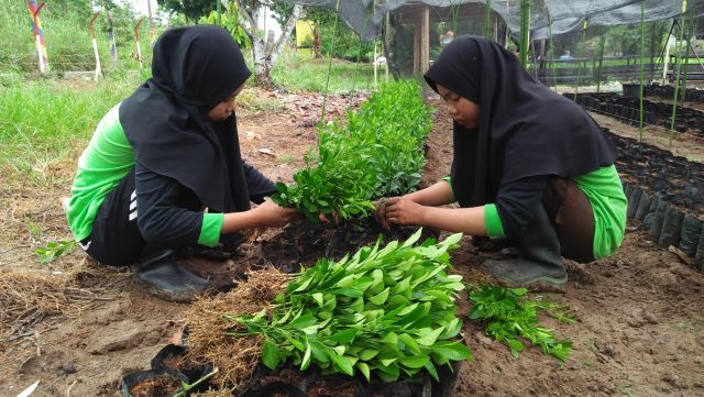 Magang bagi siswa kelas XI TP. 2019/2020 ini telah di mulai sejak awal januari 2020 dan akan berakhir di awal April. Namun karena adanya penyebaran Covid-19, maka magang ini harus dipercepat beberapa minggu.