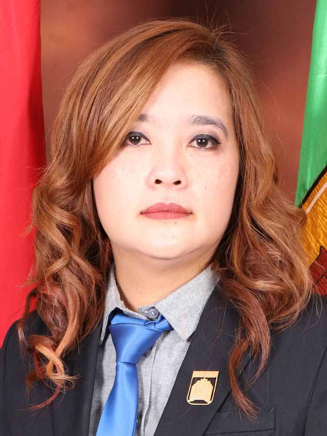 Anggota DPRD Banjarbaru, Emi Lasari