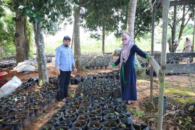 BUPATI: Bupati Tanah Bumbu H Sudian Noor berencana akan membagikan bibit tanaman obat keluarga (Toga) serta bibit tanaman sayuran kepada warganya yang terdampak Covid-19.  (Foto Diskominfo Tanbu For Radar Banjarmasin).