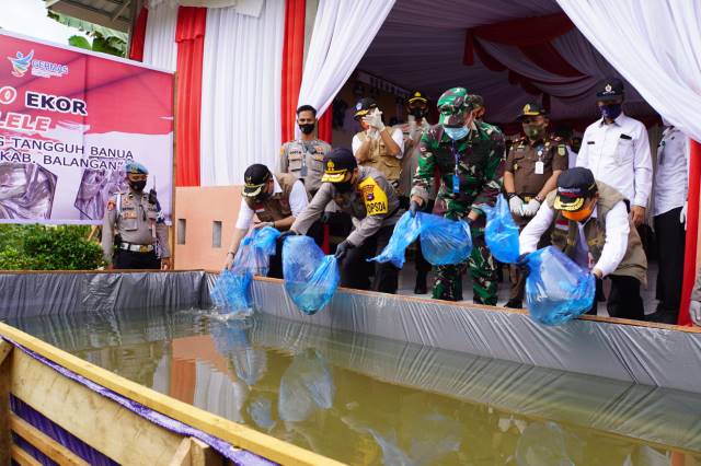 BUDIDAYA: Bupati Balangan Ansharuddin (kanan) bersama Gugas Provinsi Kalsel saat menaburkan benih ikan lele di Kampung Tangguh Banua, Desa Riwa. | FOTO: WAHYUDI/RADAR BANJARMASIN.
