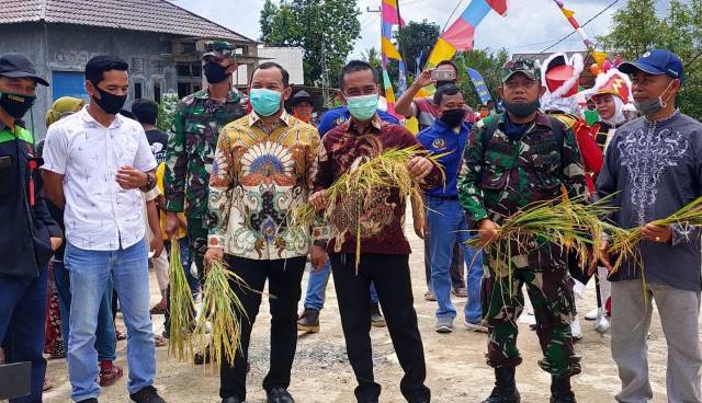 Pasangan Syafruddin H Maming (SHM)-M Alpiya Rakhman (MAR) ikut panen raya padi di Desa Sari Gadung, Kecamatan Simpang Empat, Tanah Bumbu.