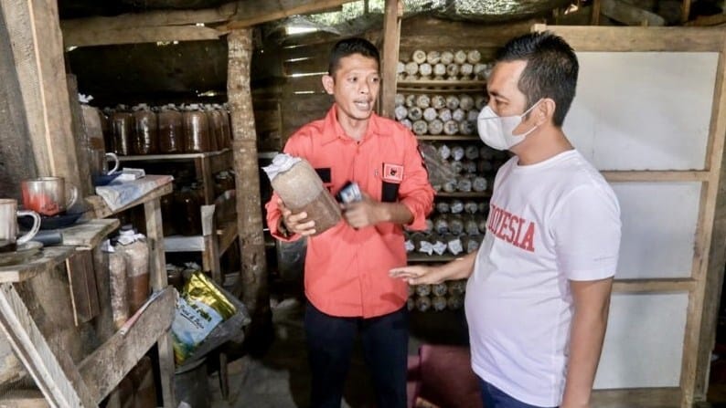 BRILIAN: Syafruddin H Maming (SHM) saat berkunjung ke pelaku UMKM pembudidayaan jamur tiram di Desa Sukamaju, Batulicin, Senin (12/10).