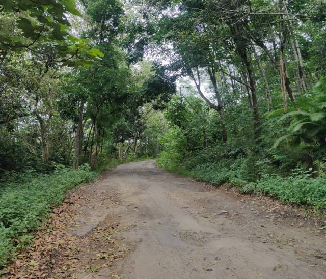 MASIH RUSAK: Akses jalan dari Kota Rantau sampai Bendungan di Kecamatan Piani kondisinya belum mulus. | Foto: Ifan for Radar Banjarmasin