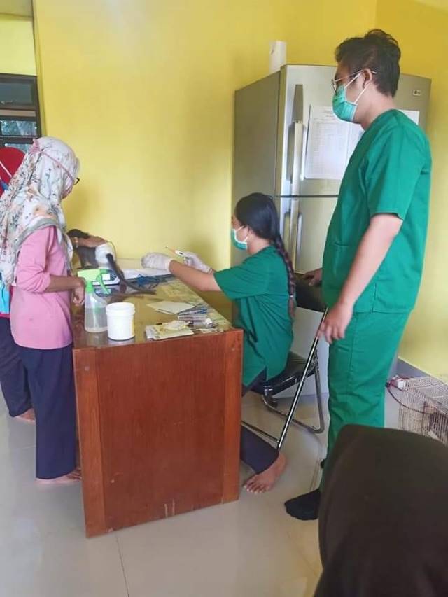 OPERASI: Petugas Kesehatan Hewan melakukan pemeriksaan kesehatan kucing