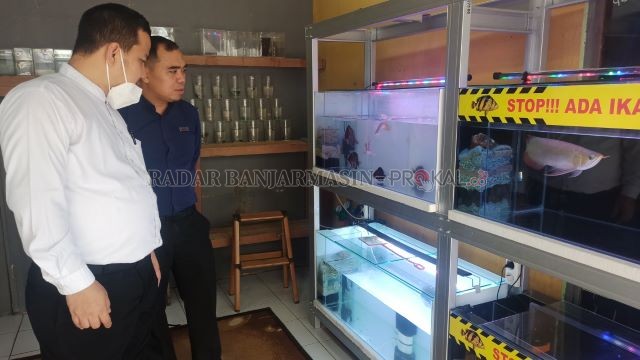 HOBI: Suasana toko ikan hias di Batas Kota, Martapura, kemarin. Memelihara ikan hias menjadi trend baru bagi masyarakat di tengah pandemi Covid-19 saat ini. | FOTO: SUTRISNO/RADAR BANJARMASIN