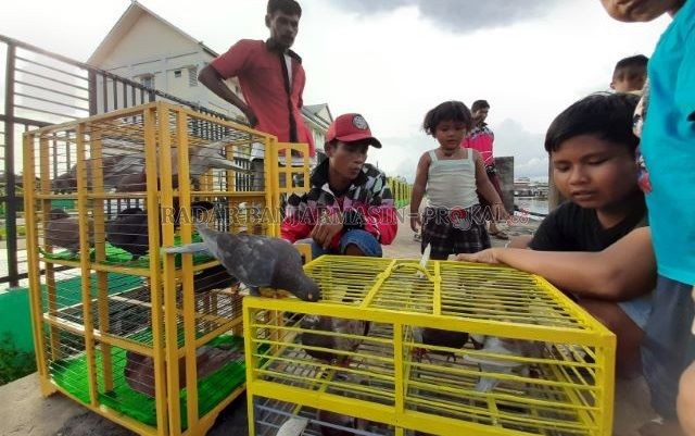 SERU: Beginilah suasana sore hari di Teluk Kelayan, tak jauh dari rusunawa. Melatih burung merpati balap di siring tepi Sungai Martapura. Foto diambil kemarin (20/12). | FOTO: WAHYU RAMADHAN/RADAR BANJARMASIN