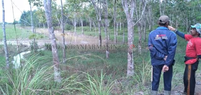 RESAH: Petani di Cintapuri, Kabupaten Banjar menunjuk air yang masuk ke sawah mereka. | FOTO: MUHAMMAD AMIN/RADAR BANJARMASIN