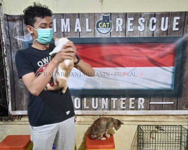 SAYANG KUCING: Sejak banjir melanda Banjarmasin, ada 40 ekor kucing yang dievakuasi dan ditampung kemari. | FOTO: ENDANG SYARIFUDDIN/RADAR BANJARMASIN