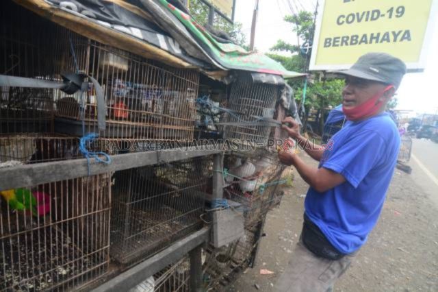 KASIH MAKAN: Pedagang burung di Sungai Lulut mengaku tak pernah mengalami kerugian sebesar ini. | FOTO: WAHYU RAMADHAN/RADAR BANJARMASIN