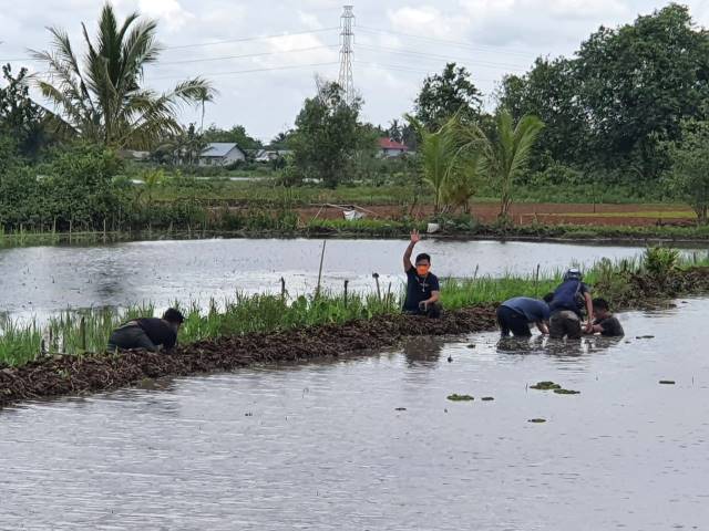 ANGKAT TANGAN: Salah satu tersangka menyerah setelah berkejaran di kawasan Tatah Makmur. Pengedar terjebak oleh modus penyamaran polisi.