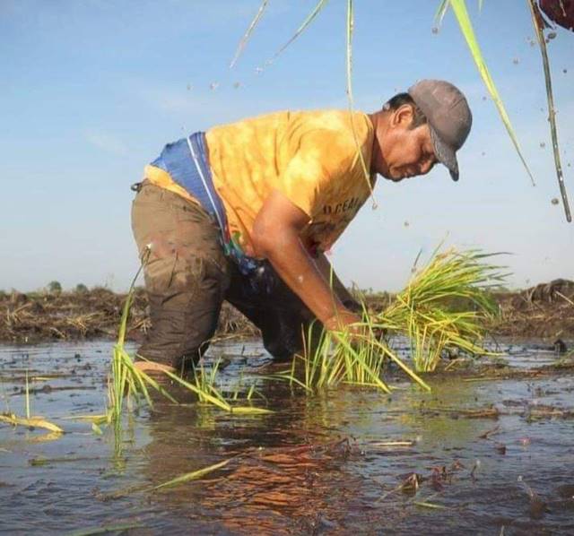 TURUN LANGSUNG: Kesederhanaan Paman Birin dibuktikan turun langsung ke lapangan.