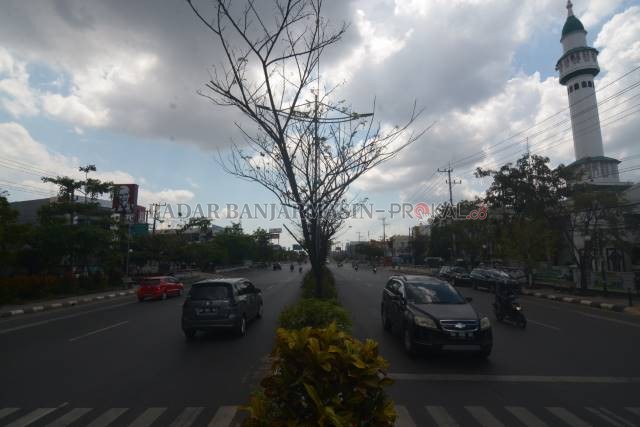 TANPA DAUN: Pohon di median Jalan Ahmad Yani seberang Masjid At Taqwa dipotret kemarin siang. | FOTO: WAHYU RAMADHAN/RADAR BANJARMASIN