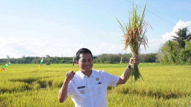 PANEN RAYA: Bupati Balangan, Abdul Hadi, mengoperasikan mesin untuk memanen padi. | FOTO: HUMAS FOR RADAR BANJARMASIN