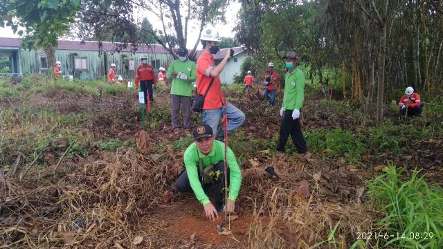 PENANAMAN: Arutmin Senakin dan pelestari hutan mangrove bakau muara melakukan penanaman pohon di sekitar area kerja PT Arutmin di Dugan Camp Desa Sembilang Kecamatan Kelumpang Tengah Kabupaten Kotabaru. | FOTO: ARUTMIN FOR RADAR BANJARMASIN.