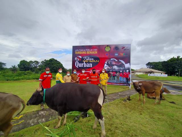 KEPEDULIAN: PT Arutmin Indonesia bersama dengan mitra kerja berkurban sebanyak 129 ekor hewan kurban. Kegiatan terbagi di wilayah operasional Arutmin, seperti kantor Banjarbaru, Asam-asam, Kintap, Satui, Batulicin, Senakin dan NPLCT Kotabaru. | FOTO: ARUT