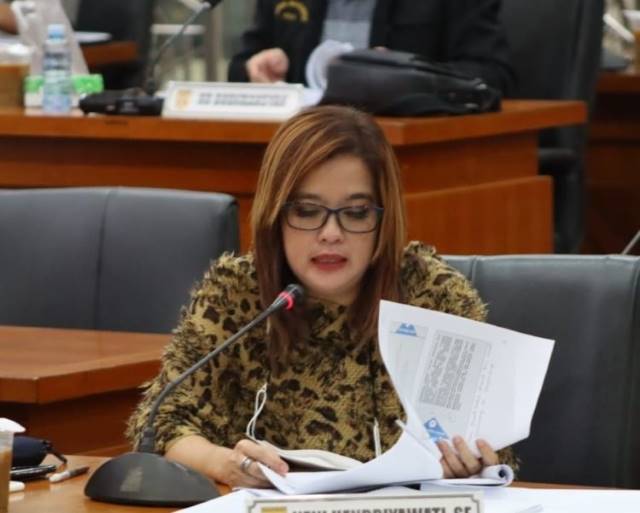 Anggota DPRD Banjarbaru, Emi Lasari