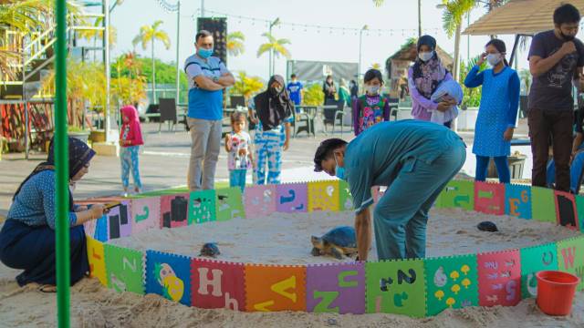 GRATIS: Dafam Banjarbaru menyediakan wahana permaianan gratis seperti playground, area panahan, tenis meja, trambol, sepatu roda, dan juga kolam sentuh kura-kura.