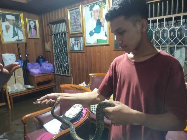 PENYUSUP: Ular jenis piton yang memasuki rumah bersamaan banjir rob. Warga Banjarmasin diminta lebih berhati-hati. | FOTO: BPBD FOR RADAR BANJARMASIN