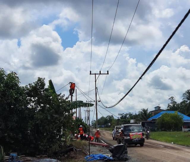 PEREMAJAAN: PLN UIW Kalselteng mendukung ketahanan pangan dengan meremajakan peralatan jaringan listrik untuk mensuplai kelistrikan kawasan Food Estate di Kalimantan Tengah (Kalteng) yang andal.