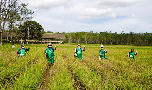 PEDULI PERTANIAN: Jajaran Dinas Pertanian Kabupaten Balangan bersama kelompok tani saat bersama-sama menyemprotkan obat pengendali hama wereng. | FOTO HUMAS FOR RADAR BANJARMASIN