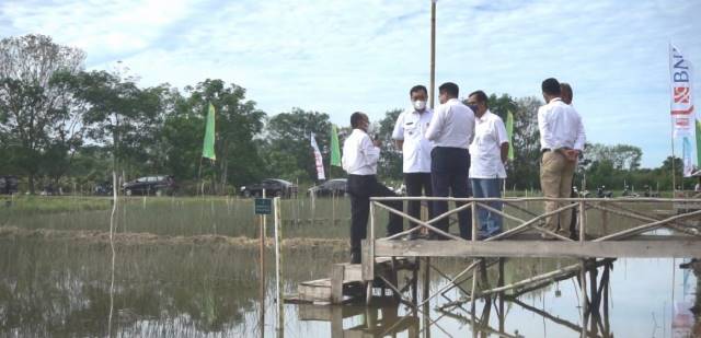 KOLABORASI: Wali Kota Banjarbaru, Aditya Mufti Ariffin secara simbolis menanam tanaman purun.