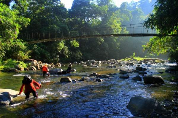 HUTAN: Kawasan hutan menjadi sorotan dalam pembahasan Raperda tentang RTRW di DPRD Kalsel, Kamis (2/2).