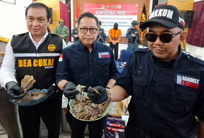 BARANG BUKTI: Konferensi pers di kantor Bea Cukai Kalbagsel kemarin (25/5) mengungkap kasus penyelundupan 360 kg sisik trenggiling kering. | FOTO: WAHYU RAMADHAN/RADAR BANJARMASIN