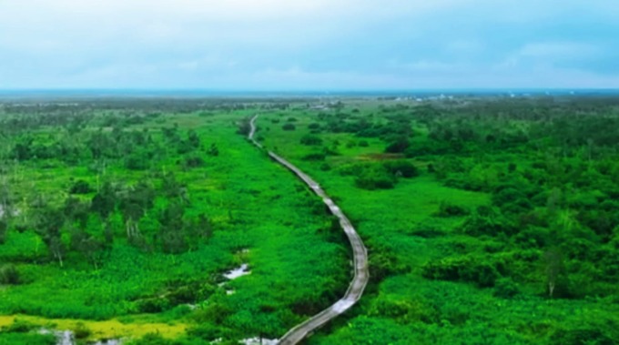 FOTO UDARA: Titian sepanjang 8 kilometer yang meliuk dan membelah dua desa di Amuntai Tengah, Kabupaten HSU.