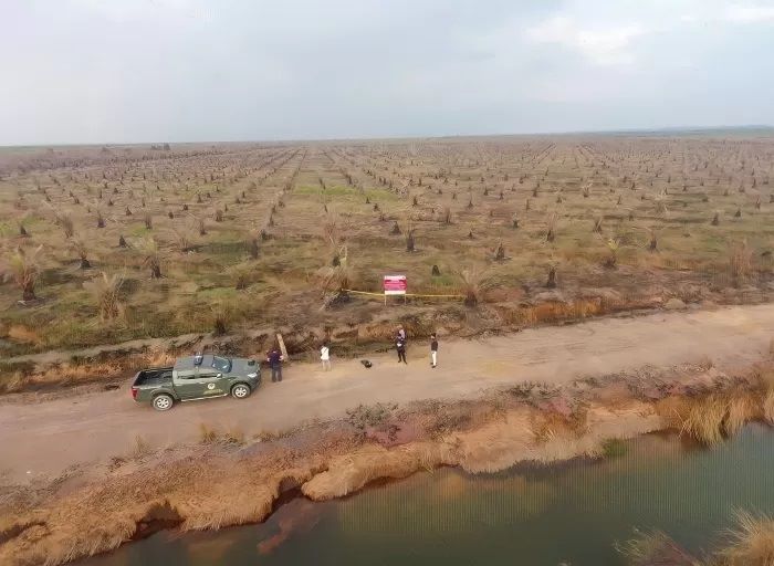 BEKAS TERBAKAR: Lahan HGU milik dua perusahaan di Kabupaten Banjar telah disegel KLHK Wilayah Kalimantan. (KLHK)