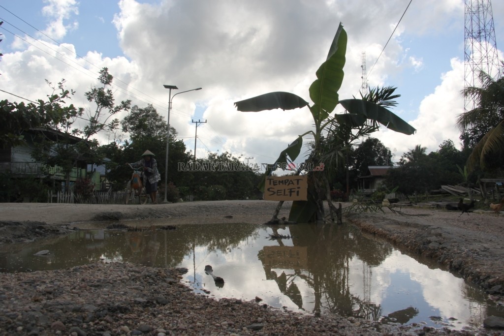 PROTES: Warga menanami jalan sepanjang 12 kilometer di Desa Wnomulyo, Kecamatan Tanjung Palas Timur ini dengan pohon pisang, kelapa dan kelapa sawit.