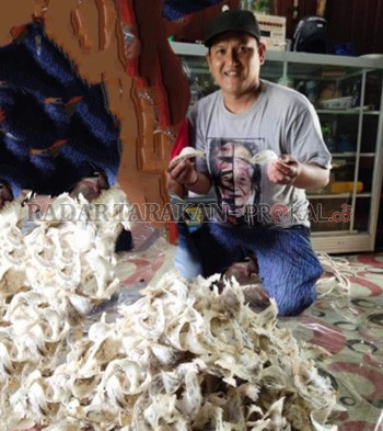 TERDAMPAK COVID-19: Julkipli saat memperlihatkan hasil panen waletnya. FOTO: RIKO / RADAR TARAKAN