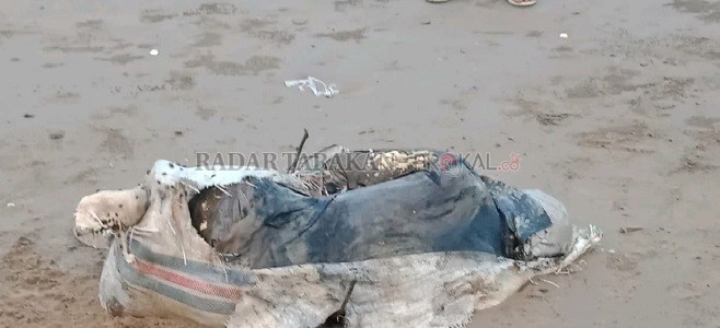 PENEMUAN MAYAT: Sesosok mayat laki-laki ditemukan di Pantai Batulamampu, Desa Tanjung Karang, Sebatik, sekira pukul 17.30 wita, Selasa (28/7)./POLRES UNTUK RADAR NUNUKAN