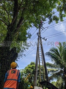 PERBAIKAN: Petugas PT PLN ULP Tanjung Selor saat berupaya memperbaiki kerusakan pada kabel lisrik yang putus akibat disambar petir, Kamis (3/9)./IWAN KURNIAWAN/RADAR KALTARA