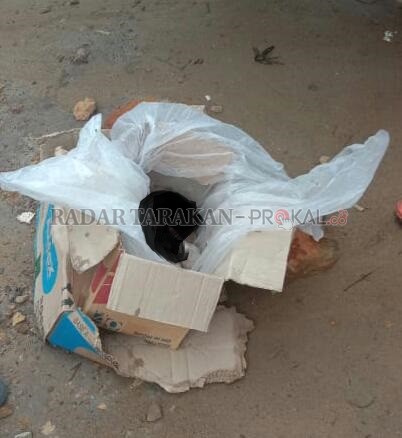 DIDUGA HASIL HUBUNGAN GELAP: Mayat bayi berjenis kelamin laki-laki ditemukan mengapung di Sungai Kayan, Tanjung Selor dalam kondisi meninggal dunia./IST