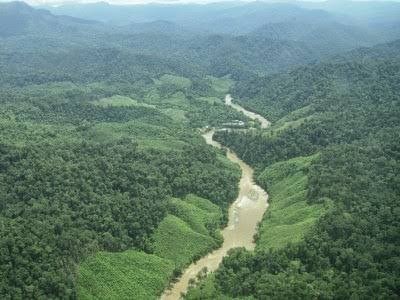 Sungai Bahau Hulu, yang masuk dalam TNKM. (kayanmentarangnationalpark.com)