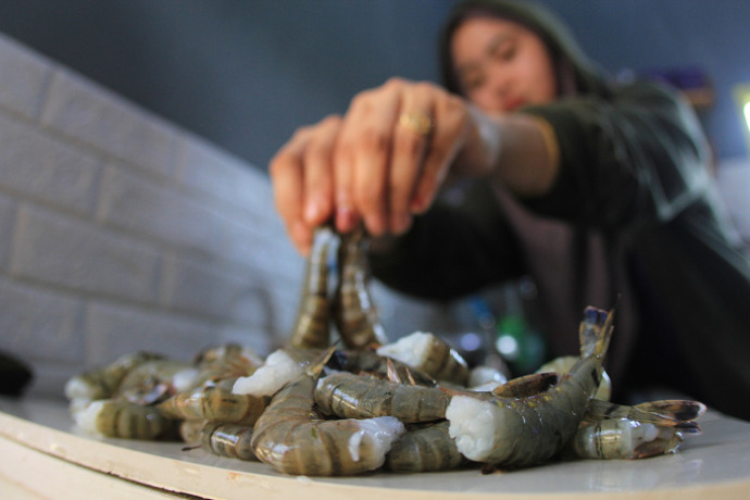 Udang salah satu potensi sumber daya alam Kaltara yang menjadi penggerak ekonomi masyarakat.