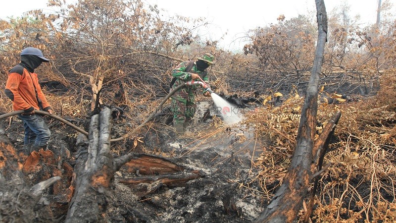 Sebaran Kawasan hutan di Kalteng tahun 2019 mencapai kurang lebih 12 juta hektare. Jumlah itu diperkirakan semakin berkurang seiring terus berkembangnya area perkebunan dan pertambangan di Kalteng. Kebakaran hutan dan lahan menjadi salah satu cara membuka