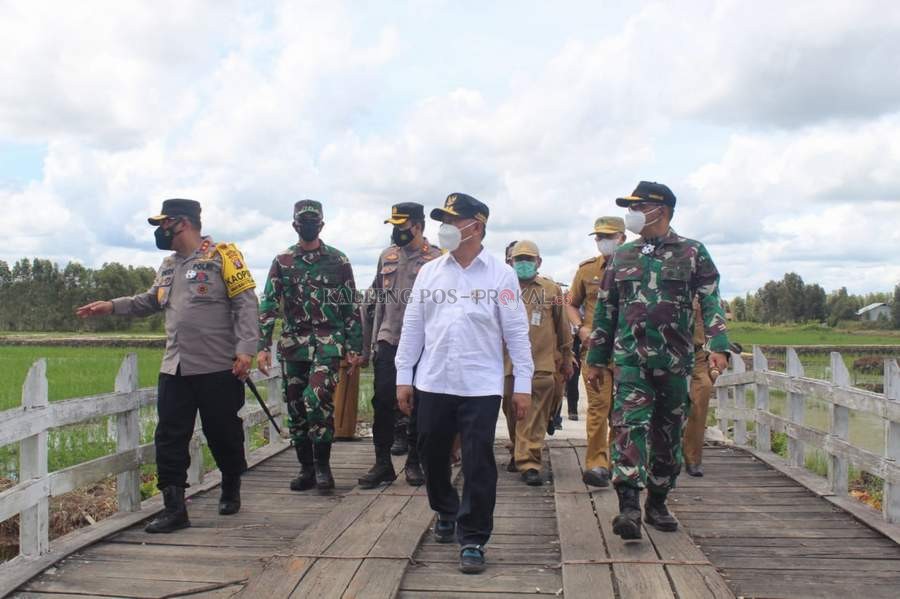 PANGAN: Usai melakukan peninjauan di Belanti Siam, gubernur beserta rombongan menuju lokasi food estate di Bataguh, Kabupaten Kapuas, (2/2). DISKOMINFO UNTUK KALTENG POS