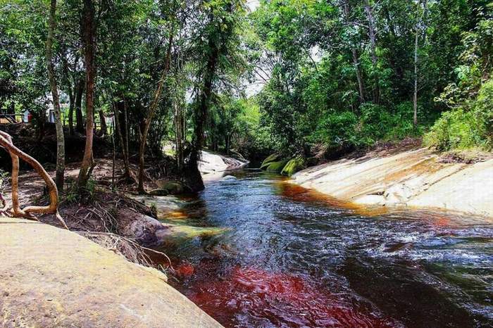 Objek wisata di Kelurahan Sei Gohong. (INT/phinemo.com)