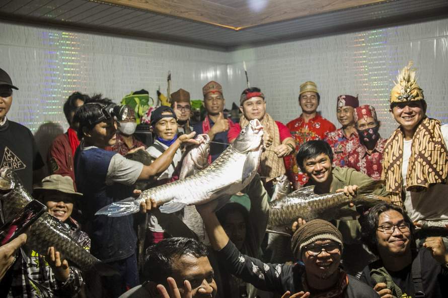 FAKTA LEGENDA: Ikan sapan yang dipercaya sebagai makanan raja dan orang dahulu, dikenal sangat enak. Dagingnya lembut dengan sedikit duri. Sulit didapatkan dengan cara menombak.