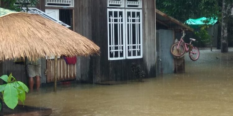 Banjir yang pernah melanda Kalteng