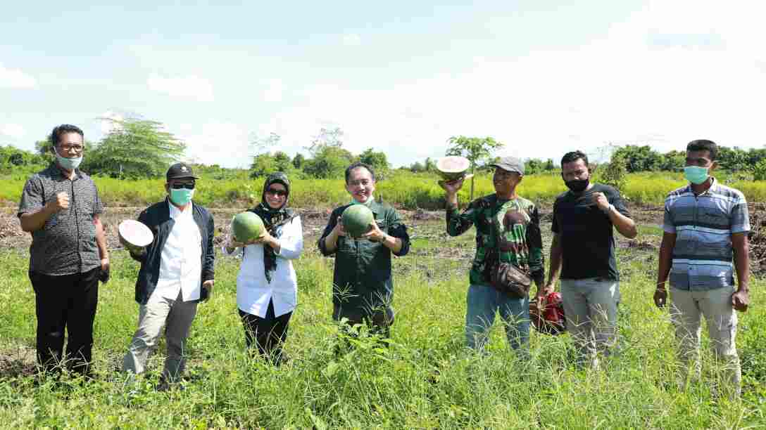FOOD ESTATE : Stafsus Mentan, Yesiah Eri Tamalagi saat melakukan kunjungan kerja ke food estate SP3 Tanjung Buka, Bulungan, Rabu (16/12) siang.